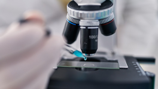 imagen La FCM gana un subsidio del Fondo de Vinculación para implementar un Servicio de Microscopía Óptica