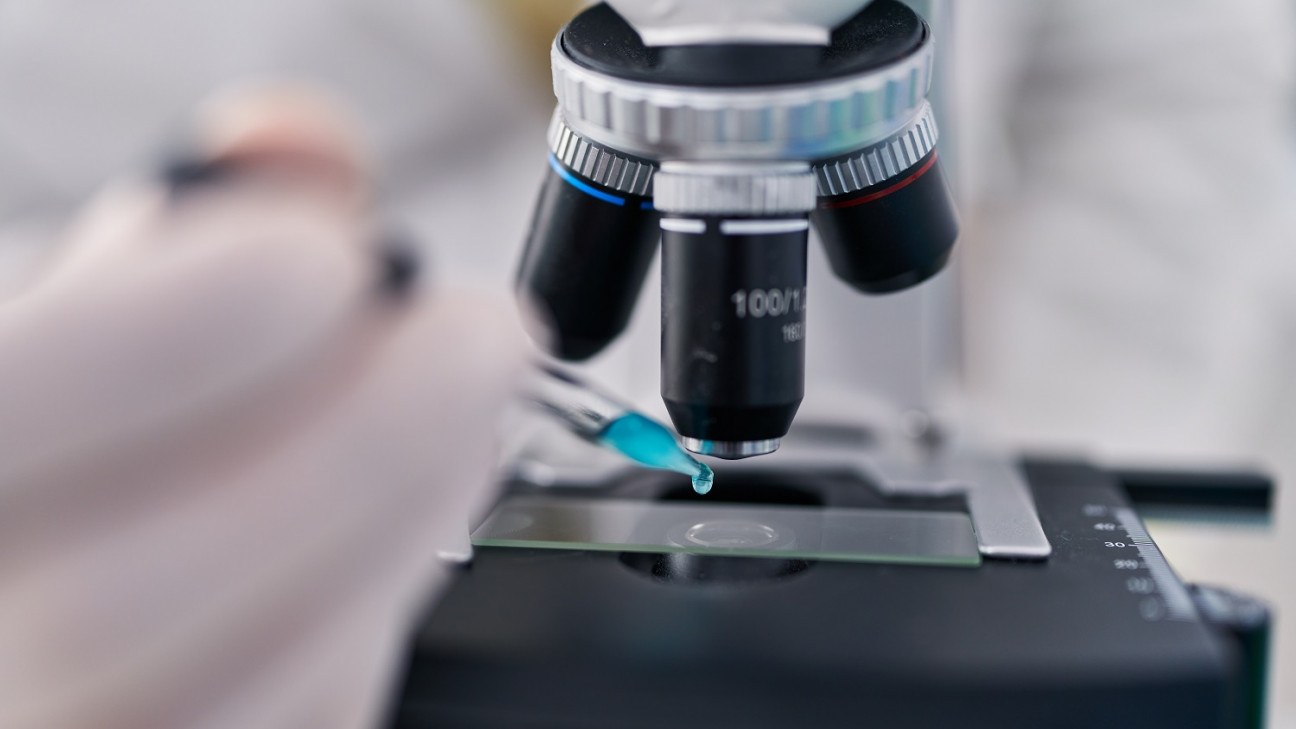 imagen La FCM gana un subsidio del Fondo de Vinculación para implementar un Servicio de Microscopía Óptica