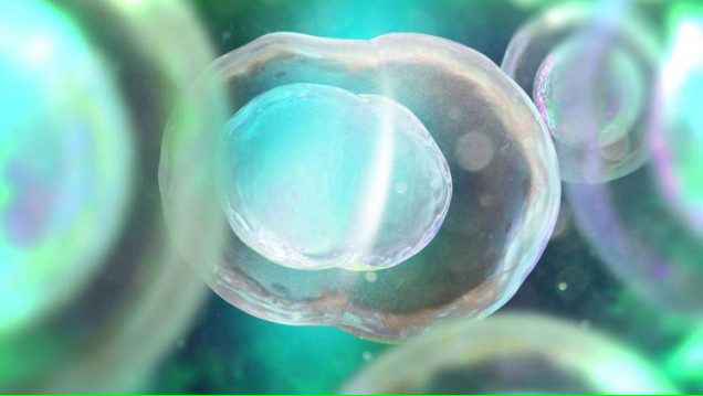 imagen Pluripotent Stem Cells and Gene Editing Symposium 2017
