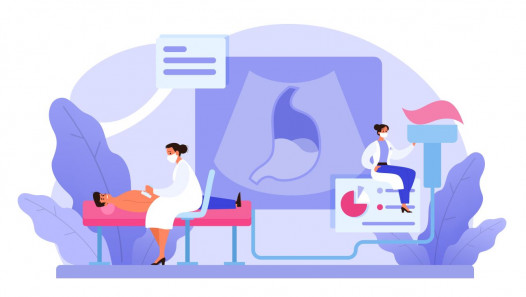 imagen Convocan a evaluación de antecedentes para cubrir un cargo de Profesor en Gastroenterología