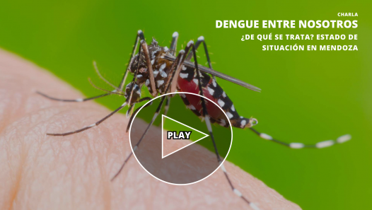 imagen Un video online sobre Dengue que se convierte en insumo para la prevención
