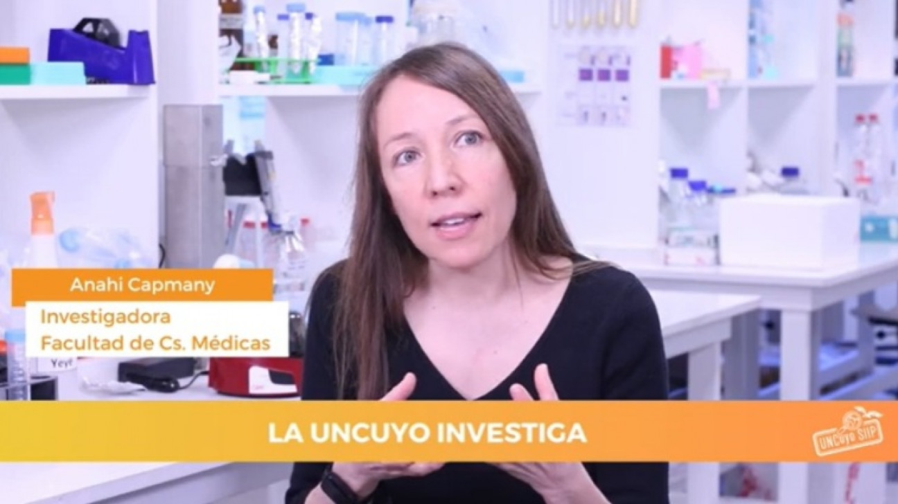 imagen Ya puede accederse a proyectos de FCM en el catálogo audiovisual de investigaciones UNCUYO