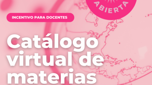 imagen Incentivos a docentes que dicten su cátedra a estudiantes extranjeros de modo virtual