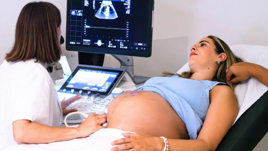 imagen La FCM UNCUYO coorganiza las I Jornadas Cuyanas y Trasandinas de Medicina Materno-Fetal