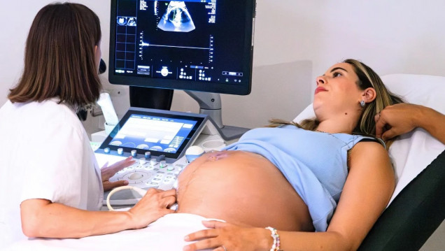imagen La FCM UNCUYO coorganiza las I Jornadas Cuyanas y Trasandinas de Medicina Materno-Fetal