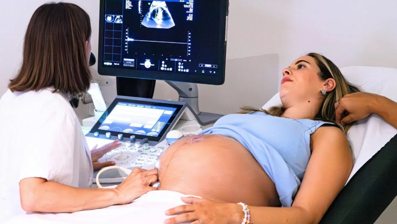 imagen La FCM UNCUYO coorganiza las I Jornadas Cuyanas y Trasandinas de Medicina Materno-Fetal