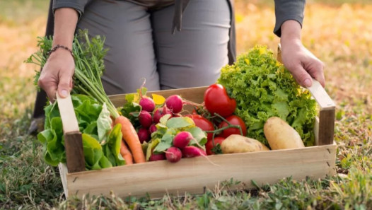 imagen Exponen caso de huerta comunitaria agroecológica como estrategia de recuperación de la salud