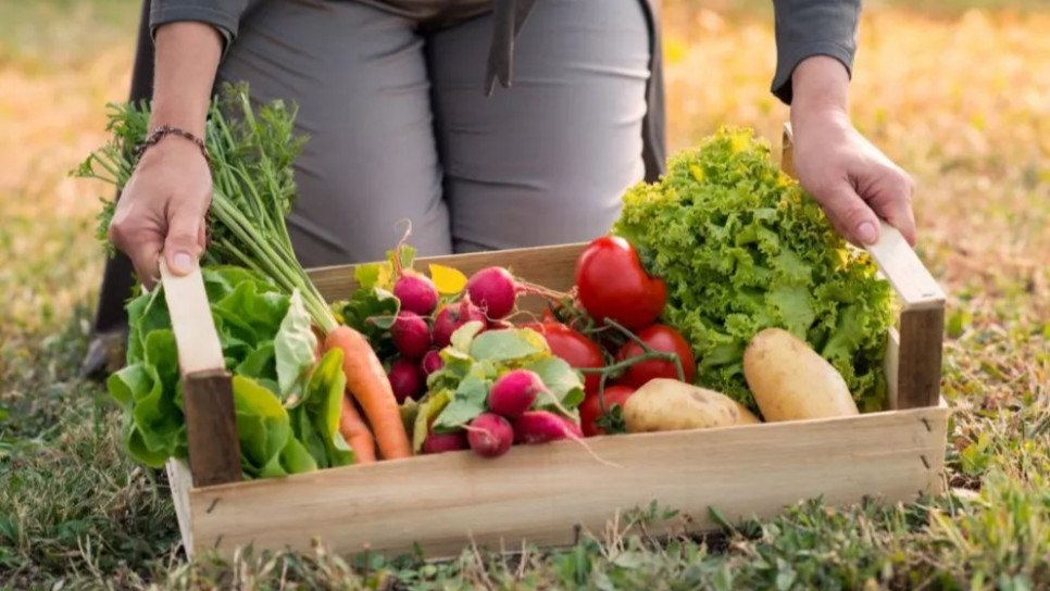 imagen Exponen caso de huerta comunitaria agroecológica como estrategia de recuperación de la salud