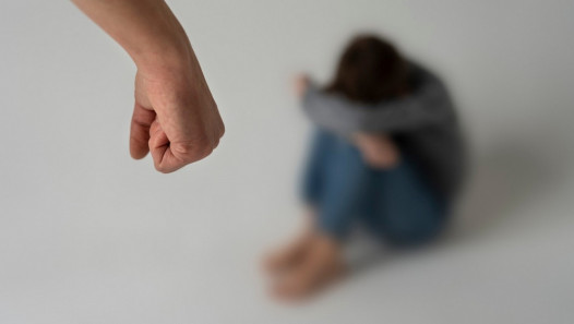 imagen Estudian la variación del número de casos de violencia doméstica contra la mujer pre y post pandemia