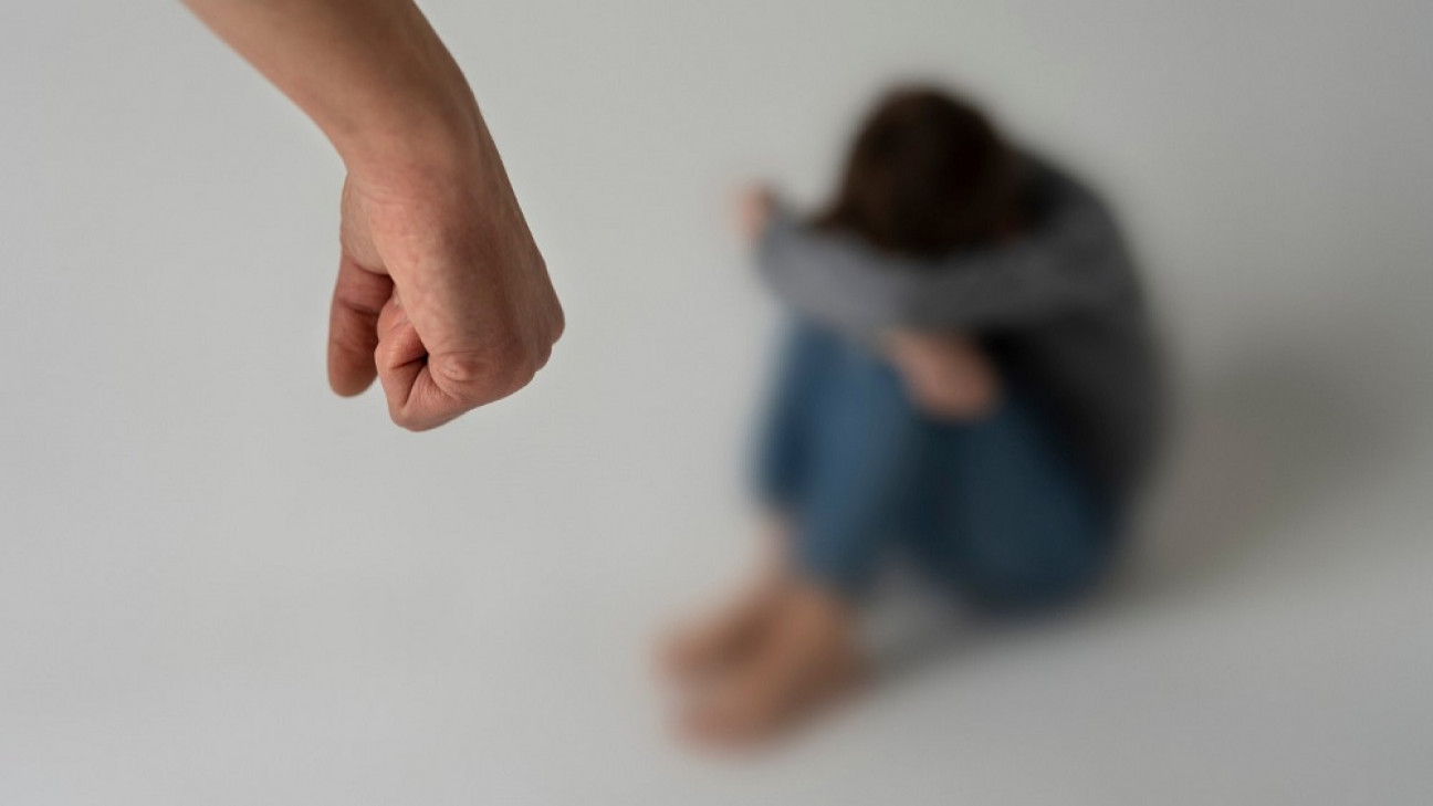 imagen Estudian la variación del número de casos de violencia doméstica contra la mujer pre y post pandemia