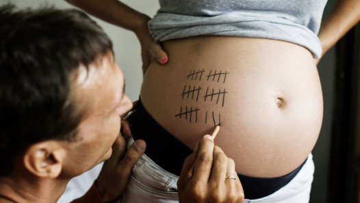 imagen Analizan las implicancias médico-legales de la gestación por sustitución