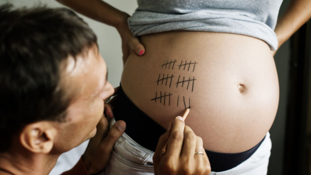 imagen Analizan las implicancias médico-legales de la gestación por sustitución