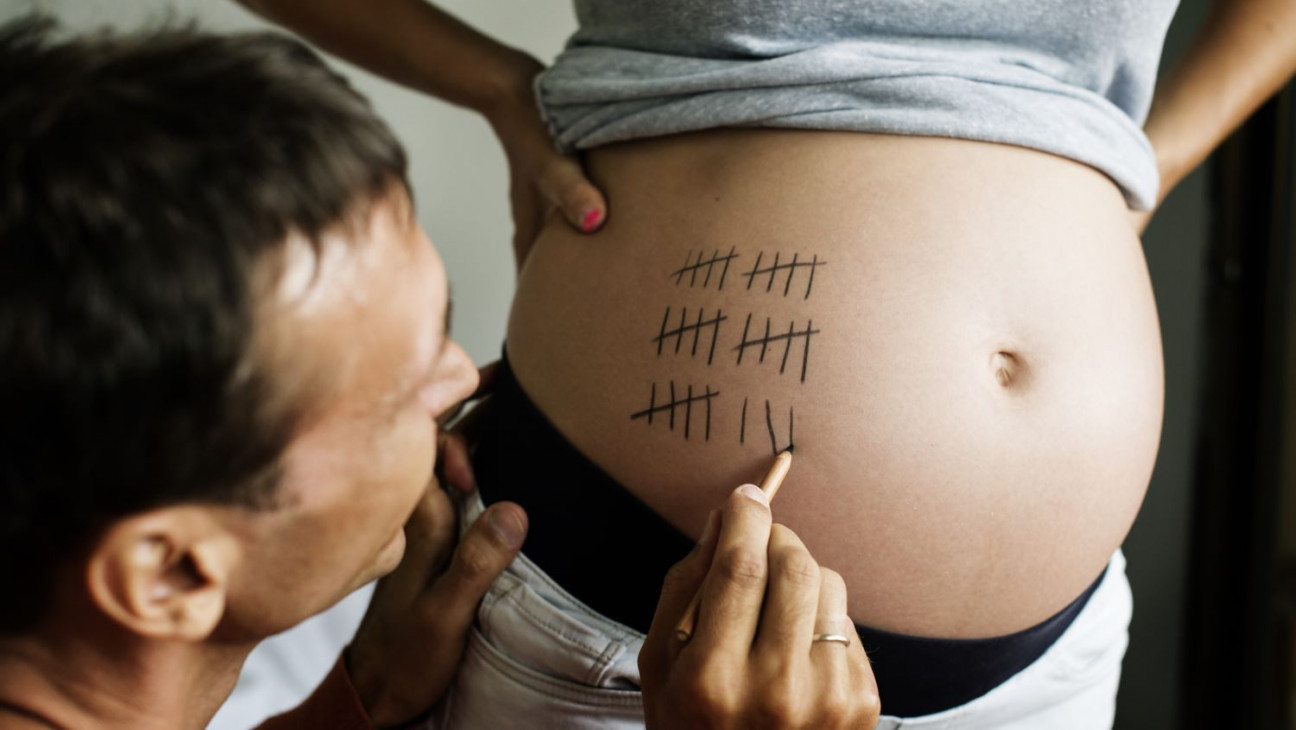 imagen Analizan las implicancias médico-legales de la gestación por sustitución