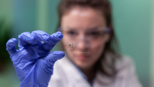 imagen Convocan a concurso para cubrir un cargo docente efectivo en Área Histología Embriología