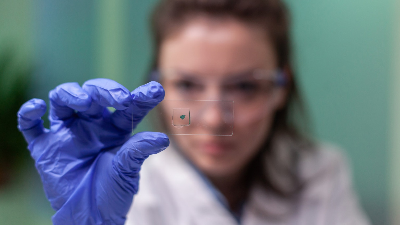 imagen Convocan a concurso para cubrir un cargo docente efectivo en Área Histología Embriología