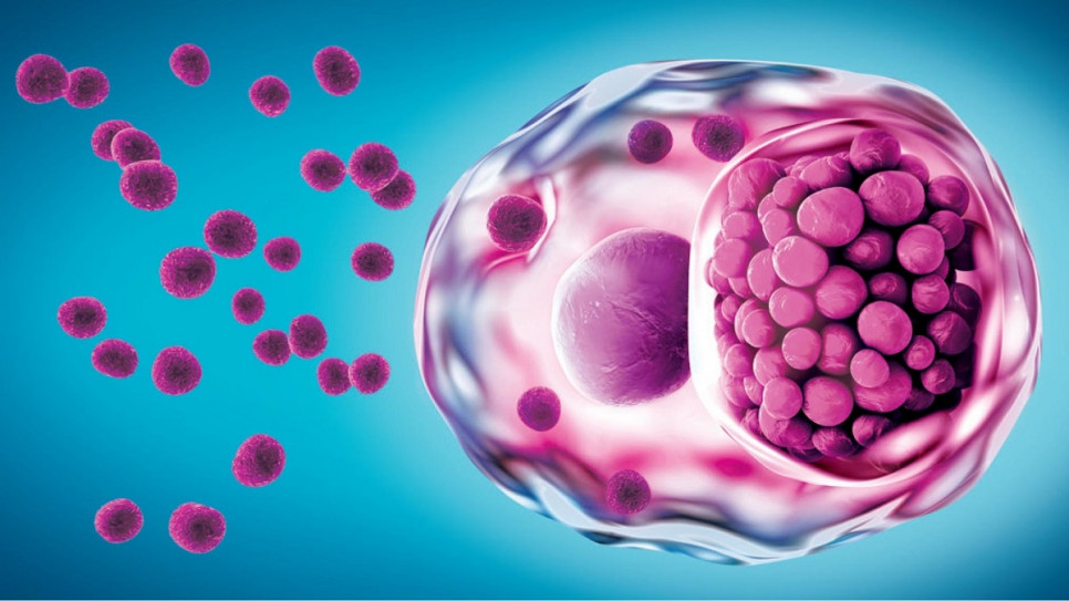 imagen Defienden tesis de la Maestría en Investigación Clínica que analiza la participación del gen MYO1C en la infección por Chlamydia trachomatis