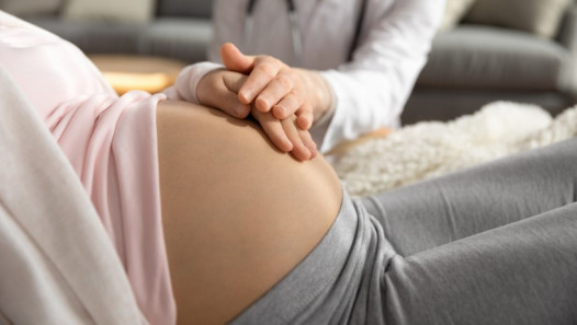 imagen Una jornada para dialogar con especialistas sobre fertilidad