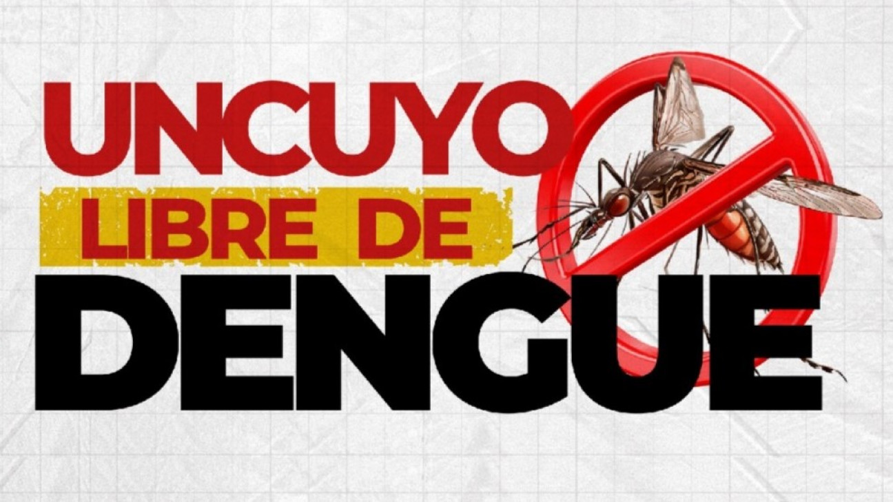 imagen Somos parte de "UNCUYO libre de Dengue"