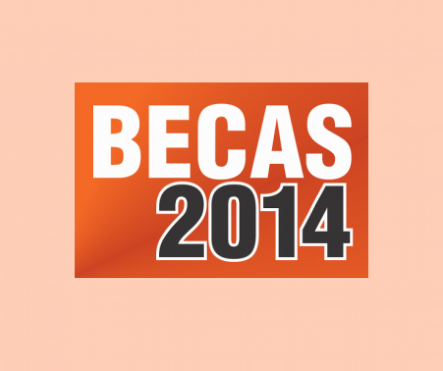 imagen Se abre la Convocatoria a Becas de Capacitación Pre Profesional 2014