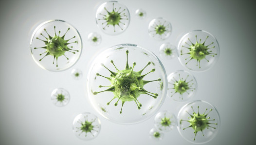 imagen Convocan a concursos para cubrir dos cargos docentes efectivos en Área Microbiología