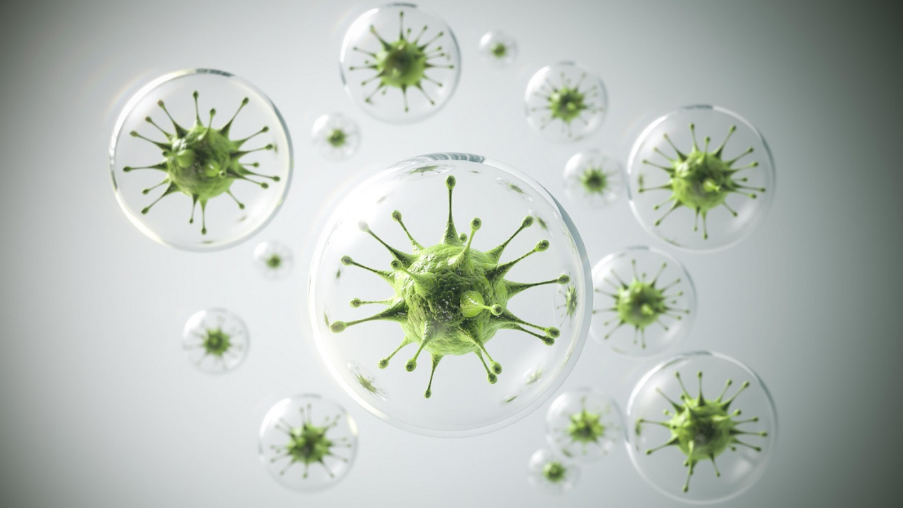 imagen Convocan a concursos para cubrir dos cargos docentes efectivos en Área Microbiología
