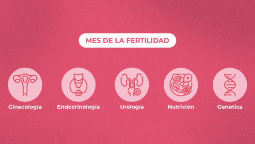 imagen Con el lema "cuidar tu fertilidad es cuidar tu salud", el HU realizará una jornada interdisciplinaria