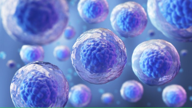 imagen Experto internacional dará conferencias acerca de Células Madre en Biociencia 