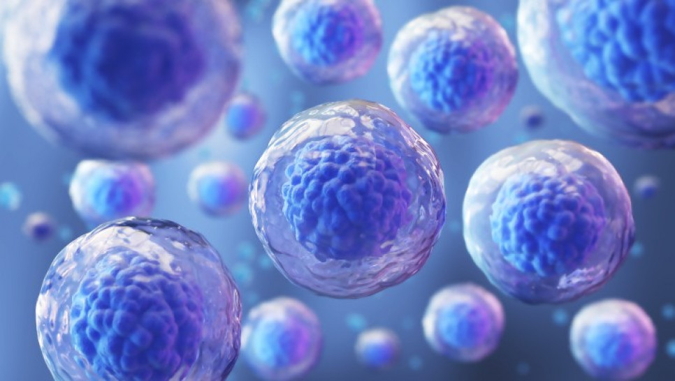 imagen Experto internacional dará conferencias acerca de Células Madre en Biociencia 