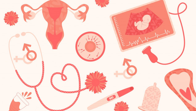 imagen Convocan a concurso para cubrir dos cargos docentes efectivos en Área Obstetricia