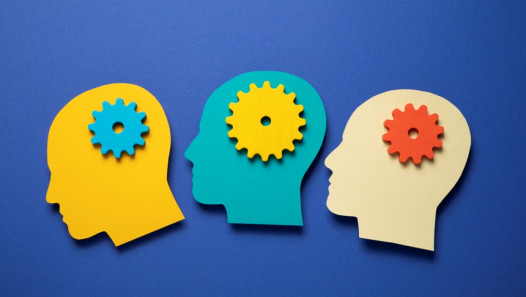 imagen Se abren inscripciones al curso Epistemología y Metodología de la Investigación Científica