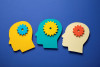 imagen Curso Epistemología y Metodologia de la Investigación Científica