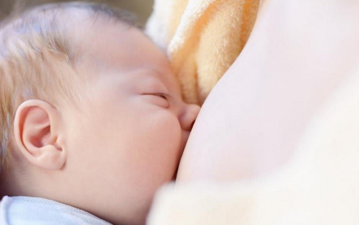 imagen 14ª Jornada Interuniversitaria de Lactancia Materna