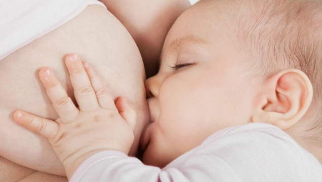 imagen La necesidad de sostener la lactancia materna luego de volver al trabajo