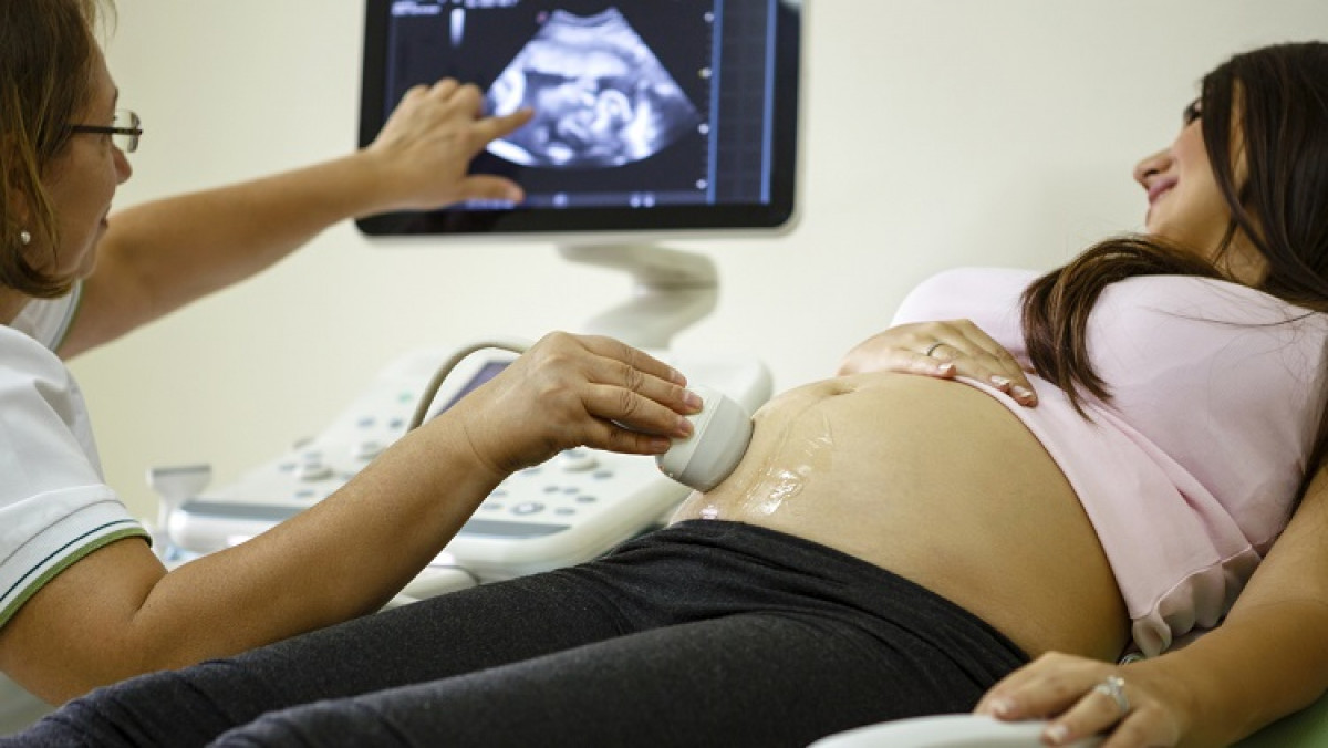 imagen Medicina materno-fetal: tamizaje en las semanas 10-14 de gestación