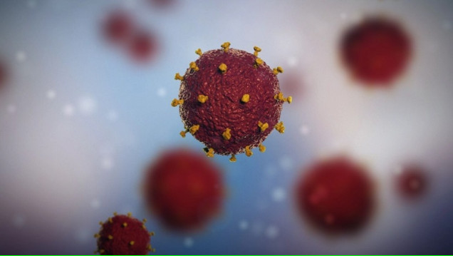 imagen Exponen una caracterización funcional de la Proteína Vpu del Virus de la Inmunodeficiencia Humana 1 (HIV-1)