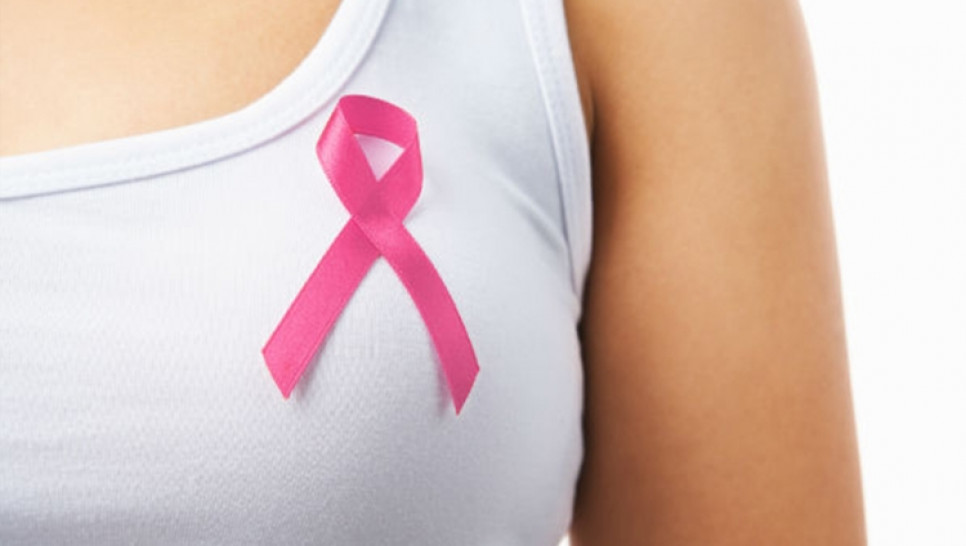 imagen Día clave para la creación del Programa de Prevención del cáncer hereditario de mama y ovario 