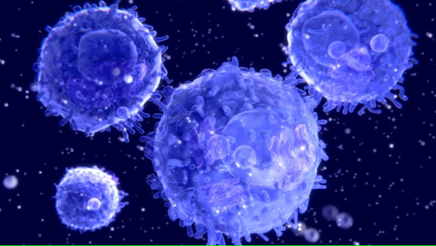 imagen Curso de Posgrado "Bases celulares y moleculares de linfocitos T"