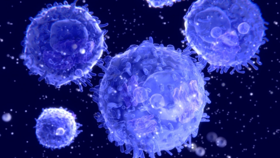 imagen Curso de Posgrado "Bases celulares y moleculares de linfocitos T"