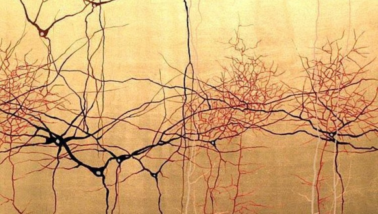 imagen Inscriben al curso "De las Moléculas a los Sistemas: Una Mirada a la Neurobiología Moderna"