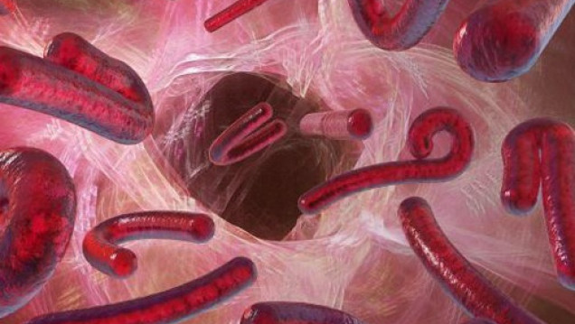 imagen Simposio: Infecciones Epidémicas, fiebre Chikungunya y Enfermedad por Ébola