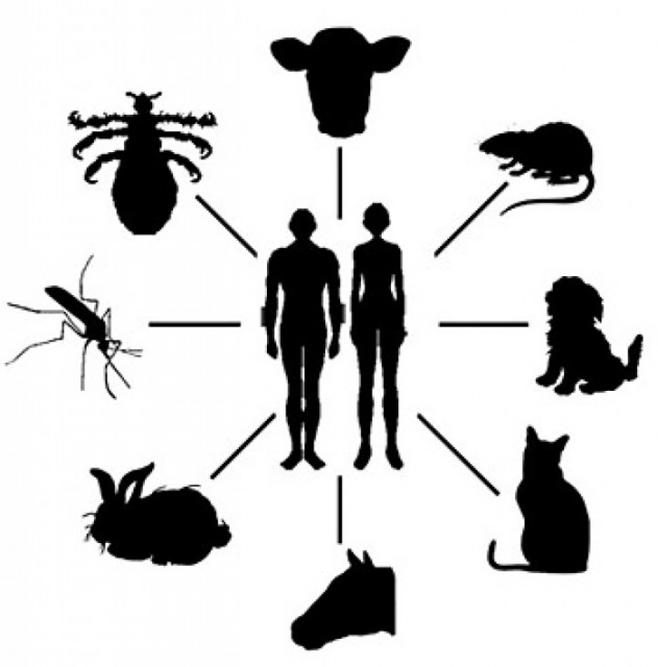 imagen III Jornadas cuyanas de la Asociación Argentina de Zoonosis